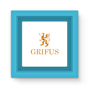 GRIFUS Magnet Frame